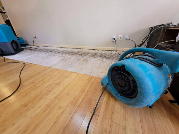 Reliable Basement Flood Cleanup contractor in Jonestown, TX by Hirex Water Damage