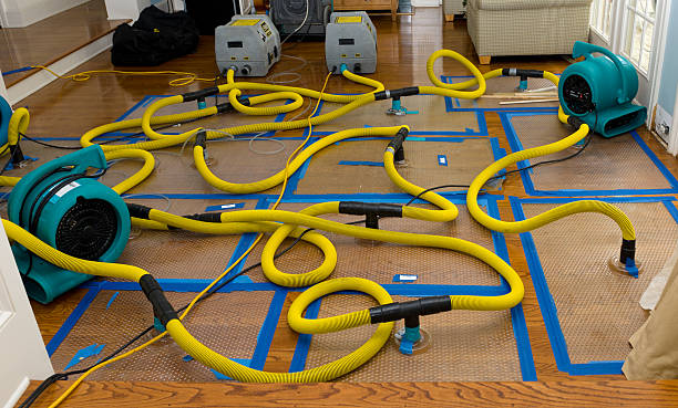 Professional Basement Flood Cleanup technician working in Jonestown, TX